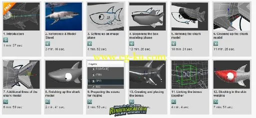 《3dsMax2011卡通鲨鱼建模训练教程》 Modeling and Rigging a Cartoon Shark的图片1