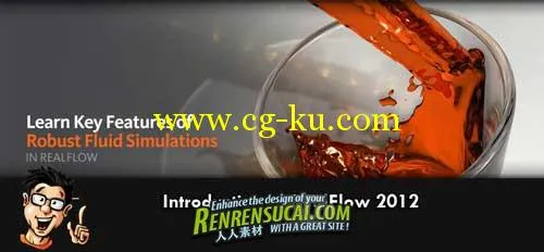 《RealFlow 2012高级训练教程》Digital-Tutors Introduction to RealFlow 2012的图片2