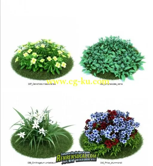 《园林植物灌木花卉 3D模型与纹理贴图合辑》Evermotion Archmodels Vol.86的图片1