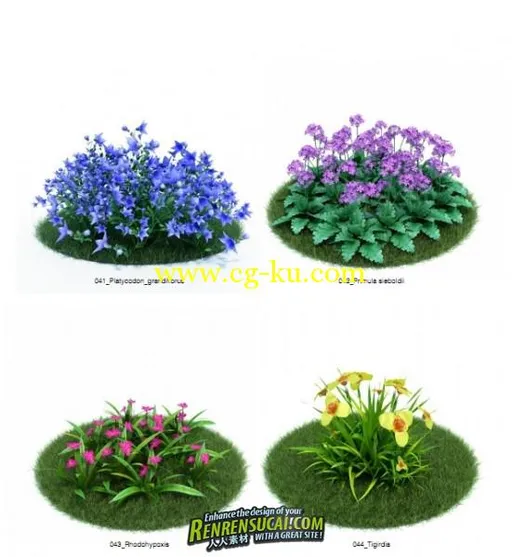 《园林植物灌木花卉 3D模型与纹理贴图合辑》Evermotion Archmodels Vol.86的图片8