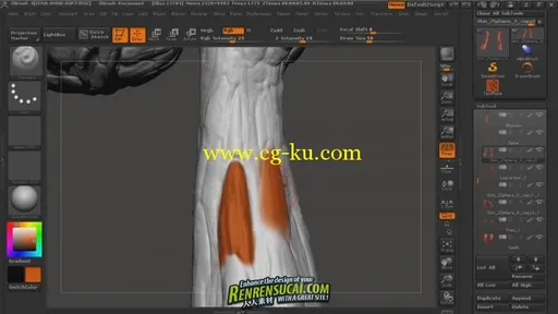 《ZBrush三维笔刷技法高级教程》Digital-Tutors ZBrush Reference Library 3D Brushes的图片4