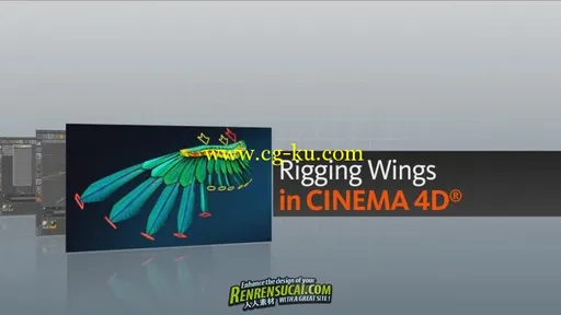 《C4D翅膀套索工具使用技法高级教程》Digital-Tutors Rigging Wings in CINEMA 4D的图片1