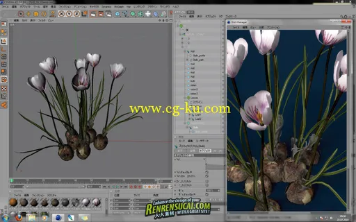 《Xfrog5最强C4D R12R13植物插件win/mac破解版》Xfrog 5 for CINEMA 4D R12 & R13的图片2