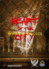 最新顶级影视应片头音乐素材-城市之心 Big Fish Audio Heart of the City MULTIFOR的图片1