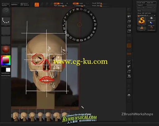 《ZBrush人物脸部造型雕刻艺术高级教程》ZBrushWorkshops Anatomy of the Face for Artists的图片3