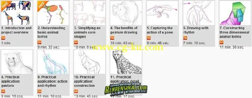 《Photoshop绘制动物解剖高级教程》Digital-Tutors Fundamentals of Drawing Animal Anatomy的图片1