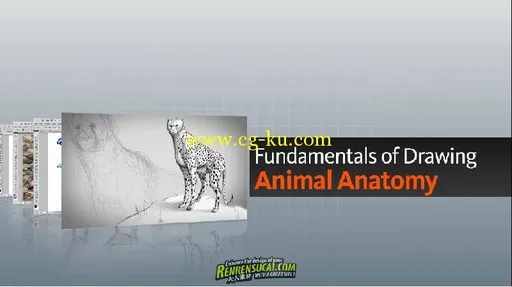 《Photoshop绘制动物解剖高级教程》Digital-Tutors Fundamentals of Drawing Animal Anatomy的图片2