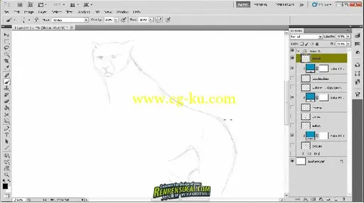 《Photoshop绘制动物解剖高级教程》Digital-Tutors Fundamentals of Drawing Animal Anatomy的图片3