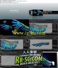 《Maya翅膀骨骼教程》Digital Tutors Rigging Wings in Maya 2011的图片3