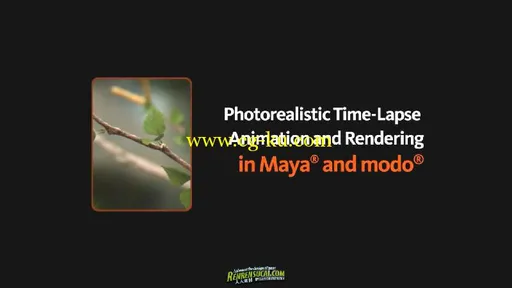 《Maya与Modo制作逼真植物渲染动画高级教程》Digital-Tutors Creative Development Photorealistic Time的图片1