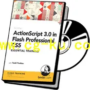 Flash CS5脚本语言编程教程 ActionScript 3.0 in Flash Professional CS5的图片1