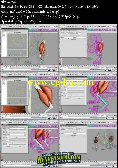 《Maya肌肉皮肤动画模拟教程》Digital-tutors Introduction to Maya Muscle的图片2