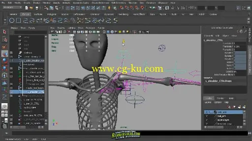 《Maya2011人体运动绑定训练教程》Digital-Tutors Creative Development Motion Flow Rigging in M的图片3