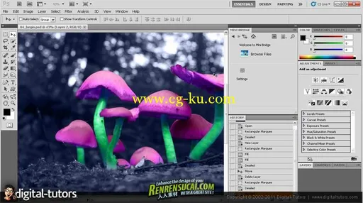 《Photoshop CS5全面训练高级教程》Digital-Tutors Introduction to Photoshop CS5的图片3