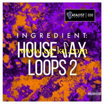 Catalyst Samples Ingredient House Sax Loops 2 WAV的图片1