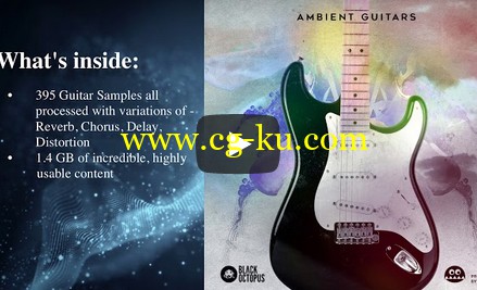 Black Octopus Sound Ambient Guitars WAV-DISCOVER的图片1