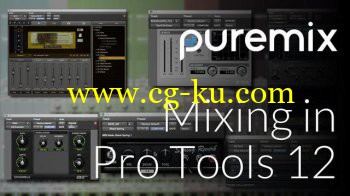 PUREMIX Fab Dupont Mixing With Pro Tools 12 TUTORiAL-SYNTHiC4TE的图片1