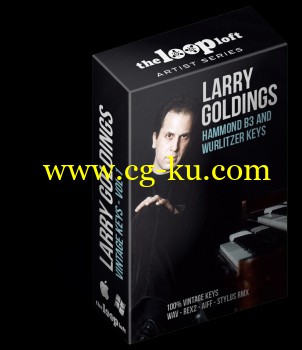 The Loop Loft Larry Goldings Vintage Keys Volume 1 WAV的图片1