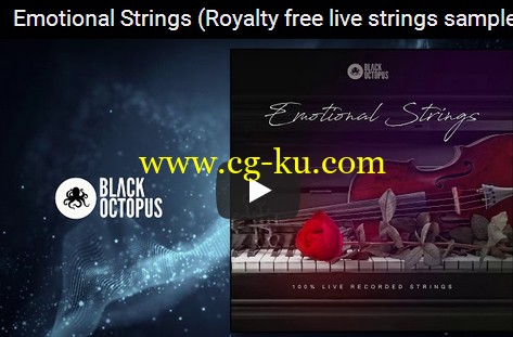 Black Octopus Sound Emotional Strings WAV-DISCOVER的图片1