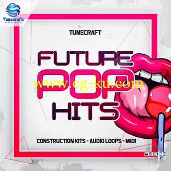 Tunecraft Sounds Future Pop Hits WAV MiDi的图片1