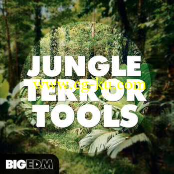 Big EDM Jungle Terror Tools WAV MiDi XFER RECORDS SERUM LENNAR DiGiTAL SYLENTH1-DISCOVER的图片1