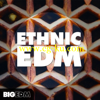 Big EDM Ethnic EDM WAV MiDi LENNAR DiGiTAL SYLENTH1 REVEAL SOUND SPiRE-DISCOVER的图片1