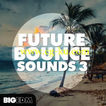 Big EDM Future Bounce Sounds 3 WAV MiDi XFER RECORDS SERUM REVEAL SOUND SPiRE LENNAR DiGiTAL SYLENTH的图片1