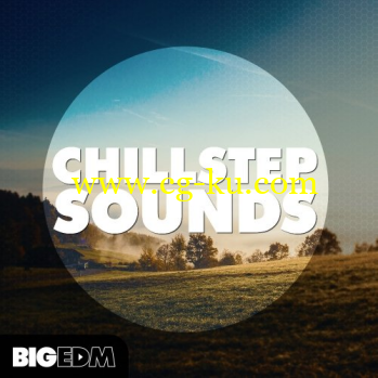 Big EDM Chillstep Sounds WAV MiDi-DISCOVER的图片1