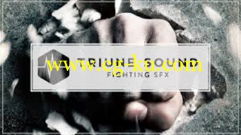 Triune Store Triune Sound Fighting SFX WAV的图片1