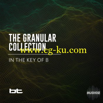 BT The Granular Collection In The Key Of B WAV HAPPY EASTER-SYNTHiC4TE的图片1