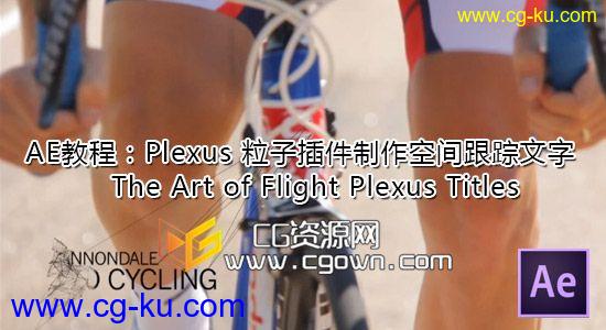 AE Plexus插件制作空间跟踪文字教程的图片1