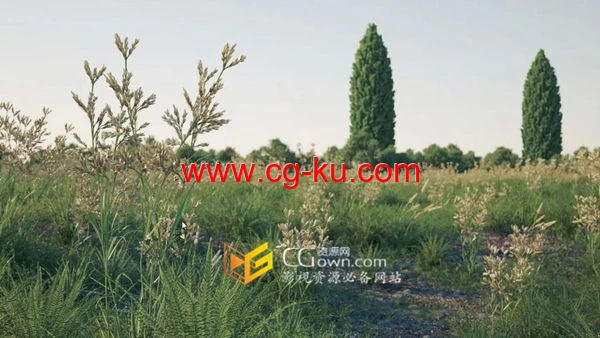 C4D插件Forester v1.5.5生成植物树木草地石头 + Expansion Pack V1&2预设包的图片1