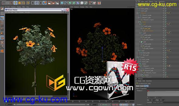 C4D模拟真实植物生长的插件 Greenworks XFrog v5.2 For Cinema 4D R15 x64的图片1