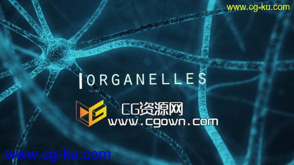 科学项目 有机细胞 VideoHive Organic Cell 6247338 AE模板的图片1