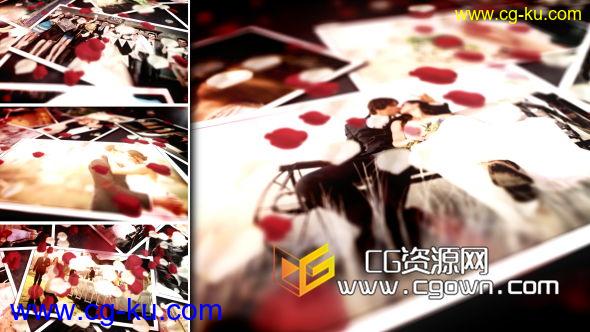 花婚礼照片相册 Videohive Floral Wedding Photos AE模板的图片1