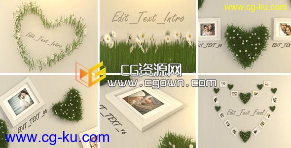 心型小草情人节照片 VideoHive Valentine Photo 6711968 AE模板的图片1