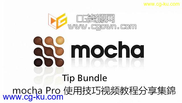 中文字幕 mocha Pro 使用技巧视频教程分享集錦的图片1