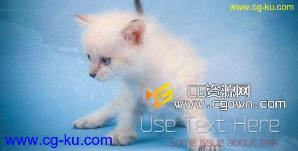 优雅动感分屏相册展示 VideoHive Elegant Slide Show 2 AE模板的图片1