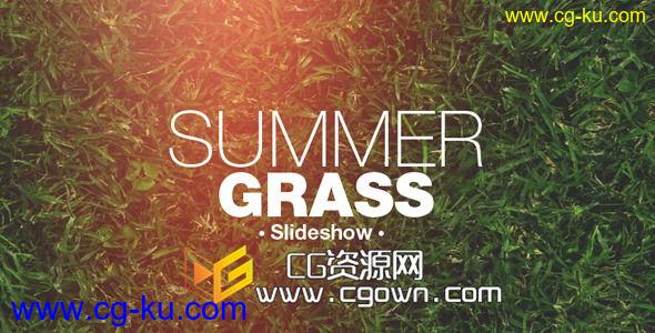 草地为主题 漏光过场相册 Videohive Grass Slideshow AE模板的图片1