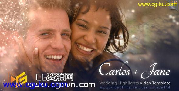 闪亮粒子 婚礼视频 Videohive Wedding Highlights – Video Template AE模板的图片1