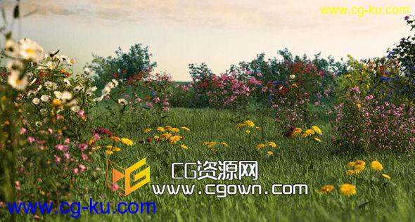 iCube R&D制作三套植物类3D模型 iFlowers vol.1, iGrass vol.1, iTrees vol.2的图片1