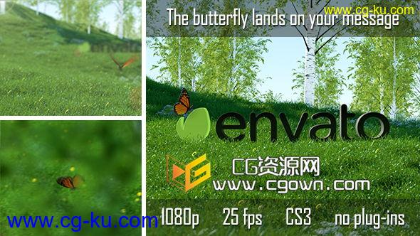 大自然蝴蝶演绎标志 Videohive Butterfly Logo Reveal AE模板的图片1