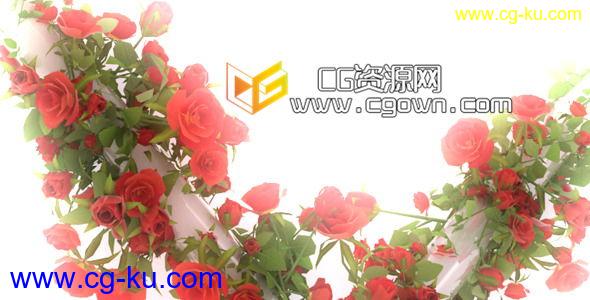 我的爱 心型玫瑰动画 Videohive My Love 6663131 AE模板的图片1