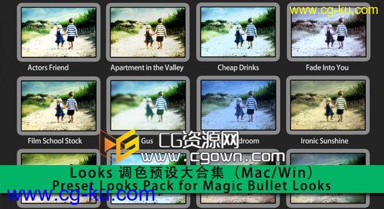 【婚礼调色必用】Preset Looks Pack for Magic Bullet Looks 调色预设大合集的图片1