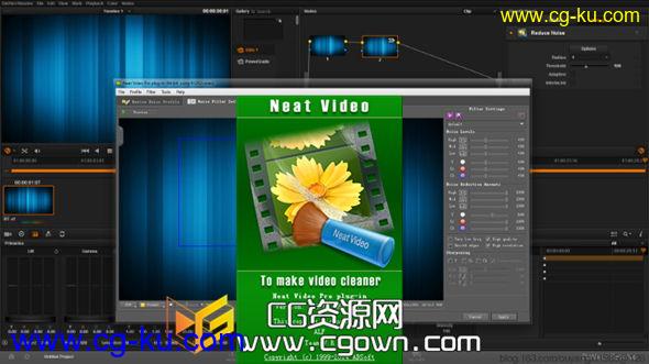 视频降噪插件 ABSoft Neat Video OFX v3.5  支持DaVinci Resolve 10的图片1