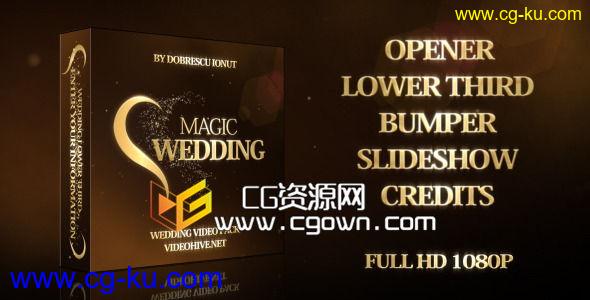 铭缘婚典 贵族婚礼 整套包装 Videohive Magic Wedding AE模板的图片1