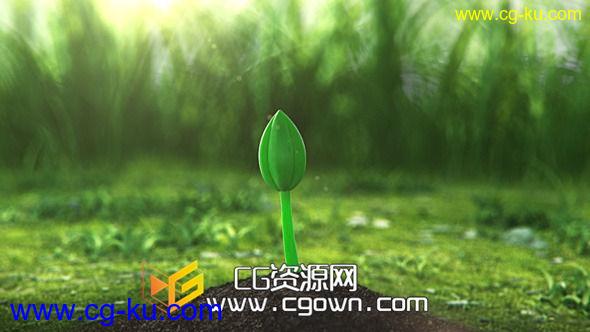 生长到开花自然绿色标志演绎 Videohive Growing Flower AE模板的图片1