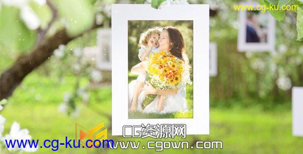 照相馆花和蜜蜂 度假旅游 Videohive Photo Gallery Blossoms and Bees AE模板的图片1