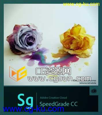 Adobe SpeedGrade CC 2014 v8.0.0 带中文注册教程 百度云免费下载的图片1