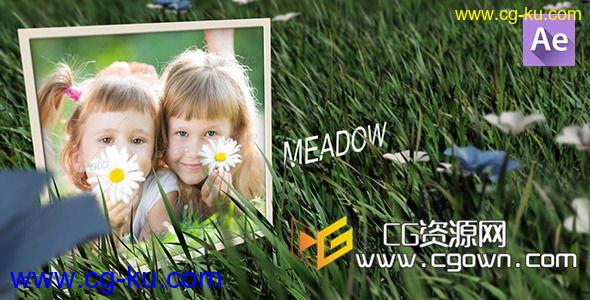 自然野外真实草地唯美相册展示 Videohive Meadow 6702113 AE模板的图片1